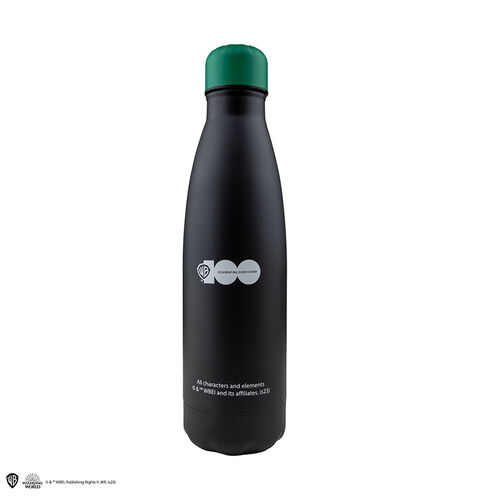 Sylvester & Tweety Insulated Water Bottle