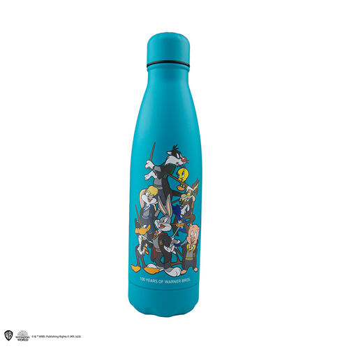 Looney Tunes at Hogwarts insulated Water Bottle