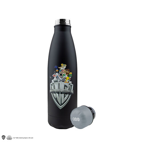 Looney Tunes Characters insulated Water Bottle