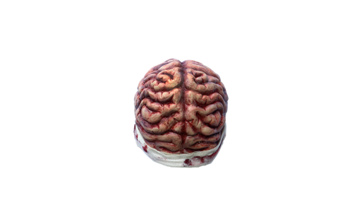 Head Accessory Brain Cap One Size Fits All