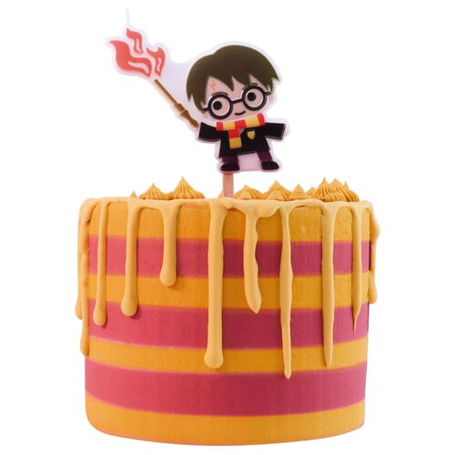 Character Candle Harry Potter